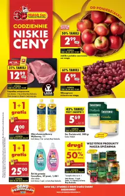 Biedronka gazetka (ważność do 21-09)