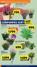 ALDI akciós újság hét 38 Oldal 6