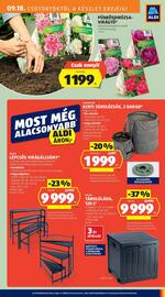 ALDI akciós újság hét 38 Oldal 9