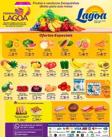 Encarte Super Lagoa Página 2