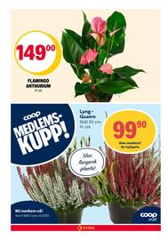 Coop Extra kundeavis uke 38 Side 24