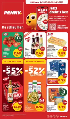 PENNY Flugblatt (gültig bis 25-09)