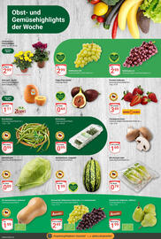 Globus Prospekt woche 38 Seite 8