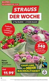 Kaufland Prospekt Seite 52