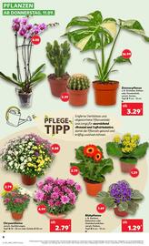 Kaufland Prospekt Seite 8