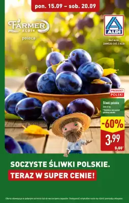 ALDI gazetka (ważność do 20-09)