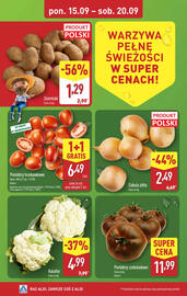 ALDI gazetka tydzień 38 Strona 2