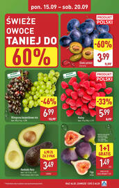 ALDI gazetka tydzień 38 Strona 3