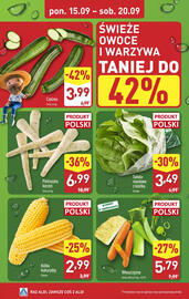 ALDI gazetka tydzień 38 Strona 4
