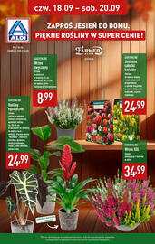 ALDI gazetka tydzień 38 Strona 8