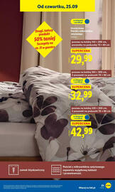 Lidl gazetka tydzień 39 Strona 29