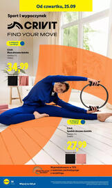 Lidl gazetka tydzień 39 Strona 44