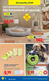 Lidl gazetka tydzień 39 Strona 46