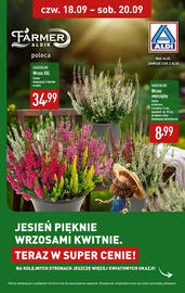 ALDI gazetka Strona 1