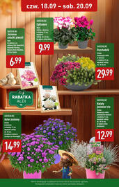 ALDI gazetka Strona 3