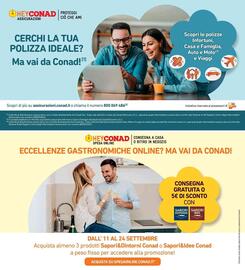 Volantino Spazio Conad Pagina 28