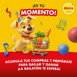 Catálogo Metro Página 5