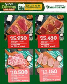 Catálogo Supertiendas Cañaveral semana 38 Página 2