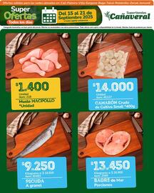 Catálogo Supertiendas Cañaveral semana 38 Página 3