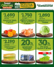 Catálogo Supertiendas Cañaveral semana 38 Página 4