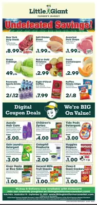 Little Giant weekly ad (valid until 16-09)