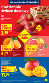 Lidl gazetka Strona 15