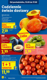 Lidl gazetka Strona 16