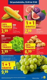 Lidl gazetka Strona 17