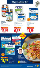Lidl gazetka Strona 19