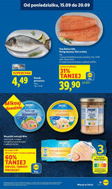 Lidl gazetka Strona 33