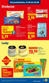 Lidl gazetka Strona 49