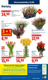 Lidl gazetka Strona 61