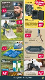 NETTO Prospekt woche 39 Seite 21