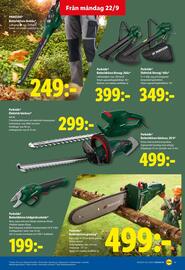 Lidl reklamblad vecka 39 Sida 21