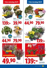Lidl reklamblad vecka 39 Sida 24