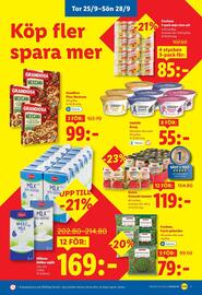 Lidl reklamblad vecka 39 Sida 31