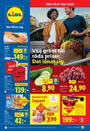 Lidl reklamblad vecka 39 Sida 5