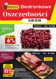 Biedronka gazetka tydzień 38 Strona 1