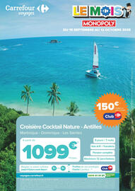 Catalogue Carrefour Voyages page 8