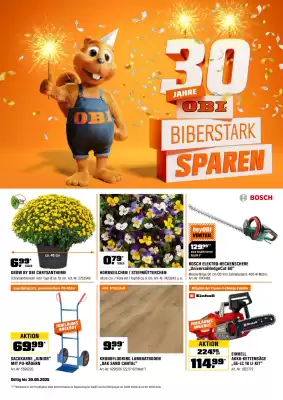 OBI Flugblatt (gültig bis 30-09)