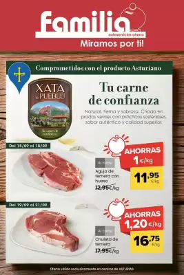 Folleto Autoservicios Familia (válido hasta el 21-09)