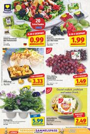 NP Discount Prospekt woche 38 Seite 2