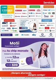 Folleto Farmacias Guadalajara Página 7