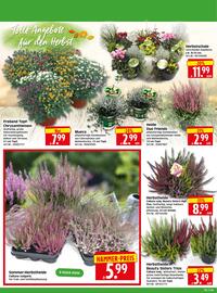 Herkules Baumarkt Prospekt woche 38 Seite 2