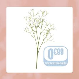 Catalogue La Foir'Fouille page 6