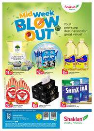 Shaklan leaflet Page 1