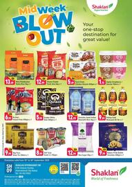 Shaklan leaflet Page 1