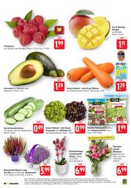 EDEKA Berger Prospekt woche 38 Seite 3