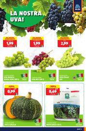 Volantino ALDI settimana 39 Pagina 3