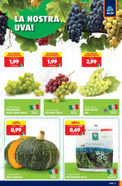 Volantino ALDI settimana 39 Pagina 3